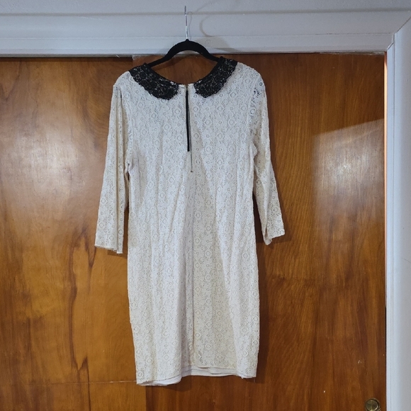 Chelsea & Violet Cream Lace Dress with Black Collar - Picture 4 of 5